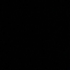 Meet your Posher, Jonah